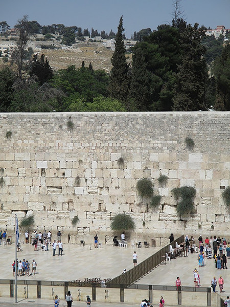 The Kotel