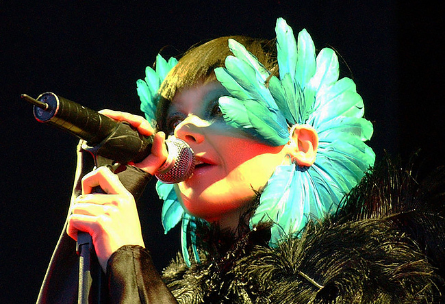 Björk at the Hurricane Festival